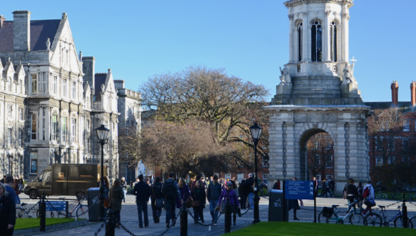 tcd 01